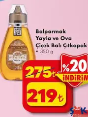 BALPARMAK YAYLA VE OVA ÇİÇEK BALI ÇIT KAPAK 350 G
